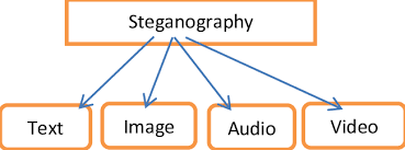 Types of Steganography | Download Scientific Diagram